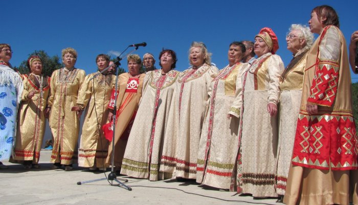 mestnaya-obshchestvennaya-organizatsiya